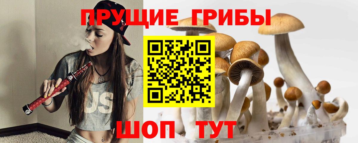 Галлюциногенные грибы Psilocybine cubensis Люберцы